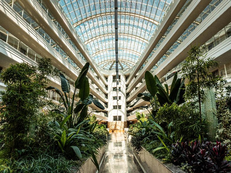 Green Nature Diamond Hotel image