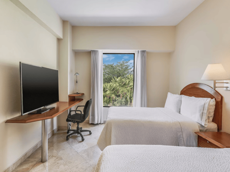 Fiesta Inn Colima image