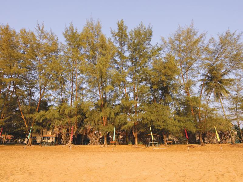 The Qamar Paka Resort