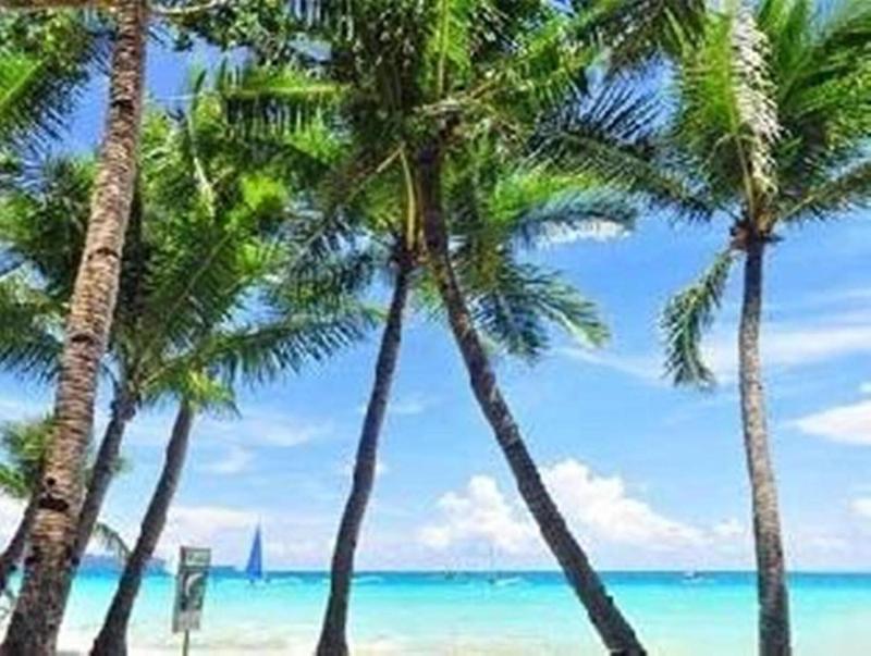 Boracay Coco Huts image