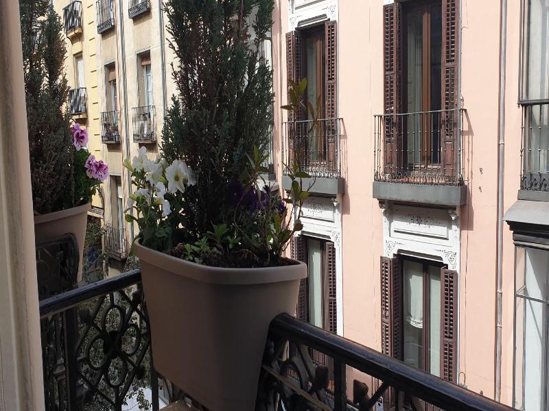 Hostal Las Fuentes image