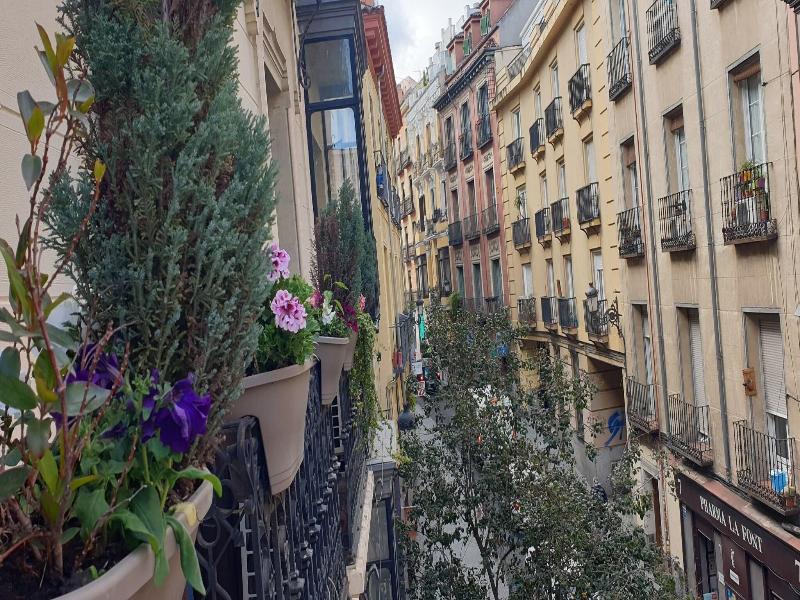 Hostal Las Fuentes image