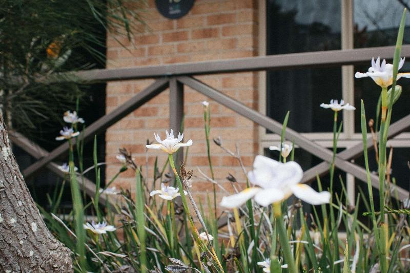 Quality Apartments Banksia Gardens image