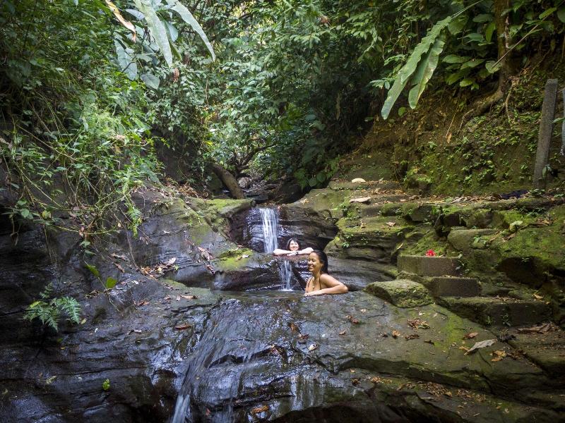 Tiskita Jungle Lodge