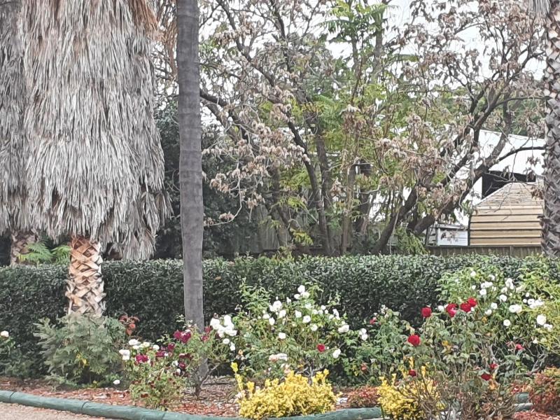 Mcnevins Tamworth Motel image