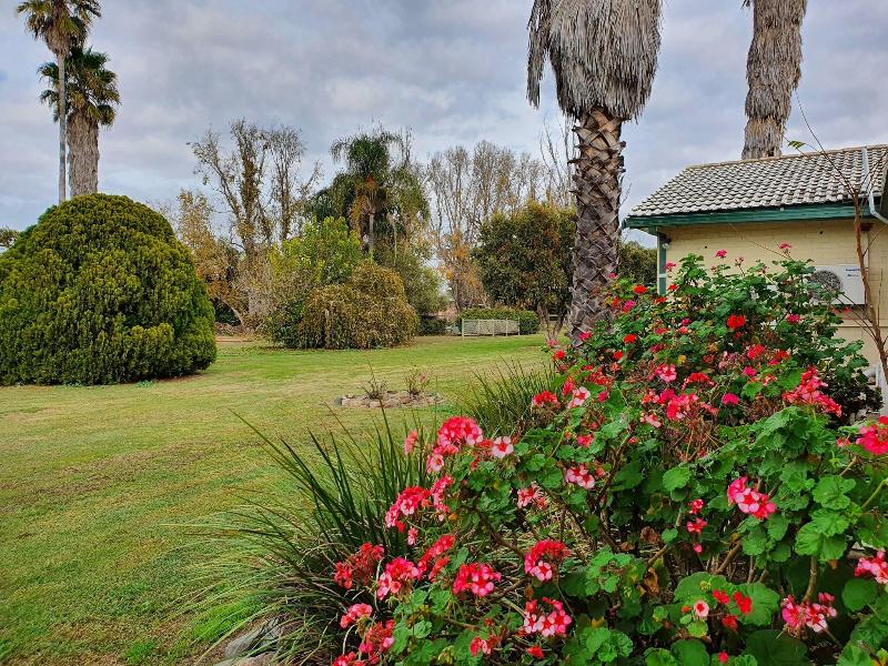 Mcnevins Tamworth Motel image