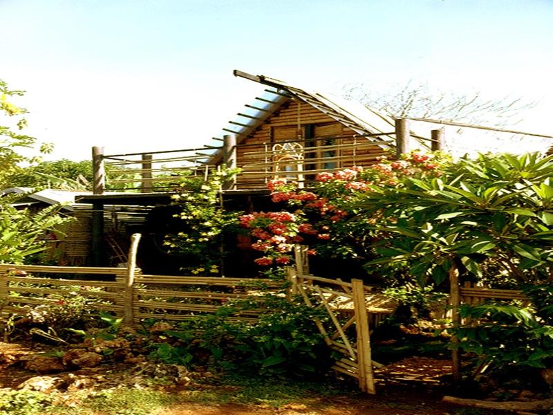 The Village House Palawan image