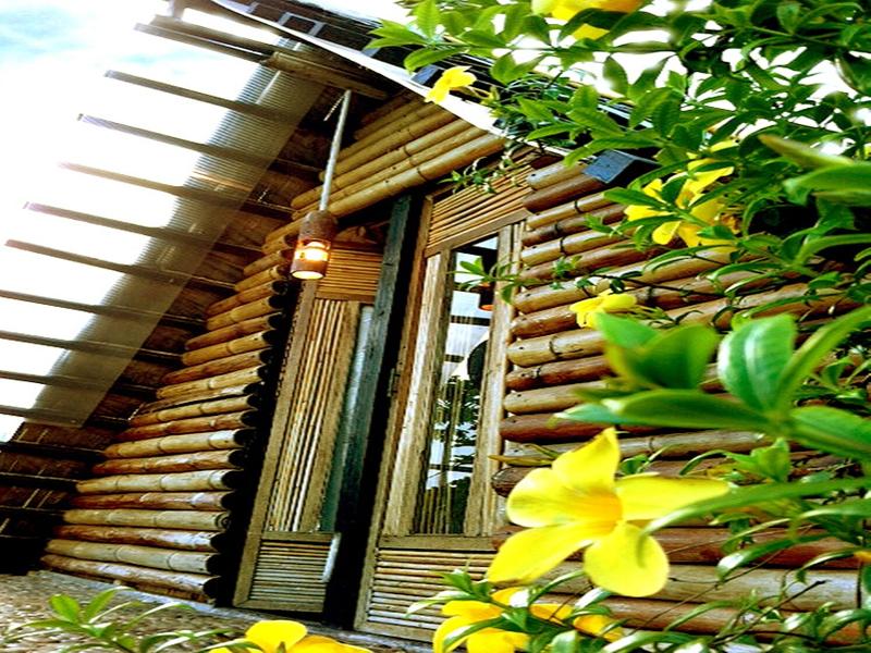 The Village House Palawan image