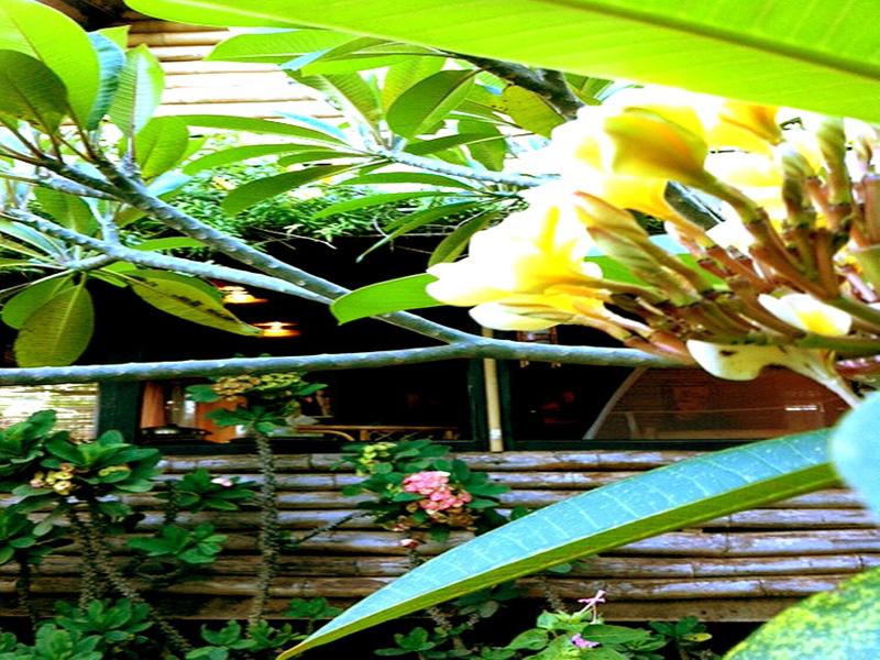 The Village House Palawan image