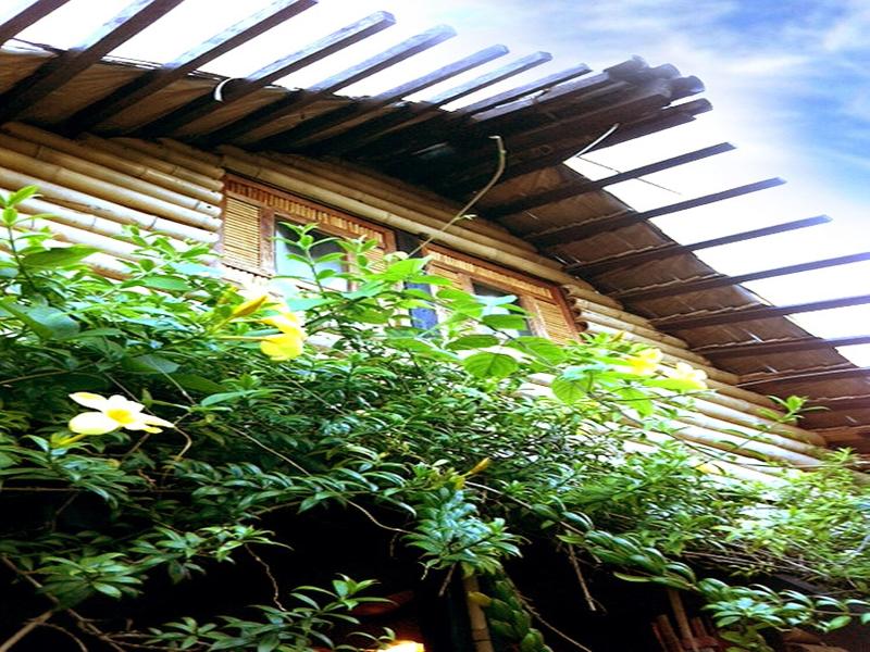 The Village House Palawan image