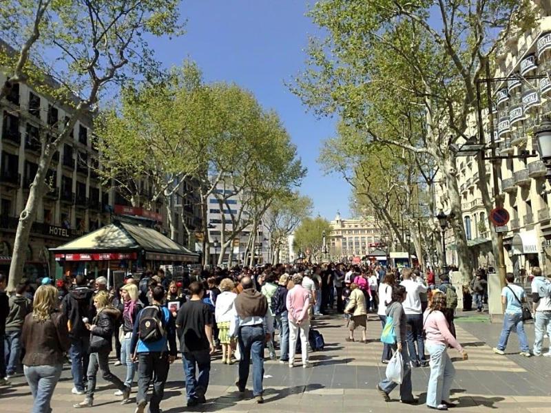 Toledano image