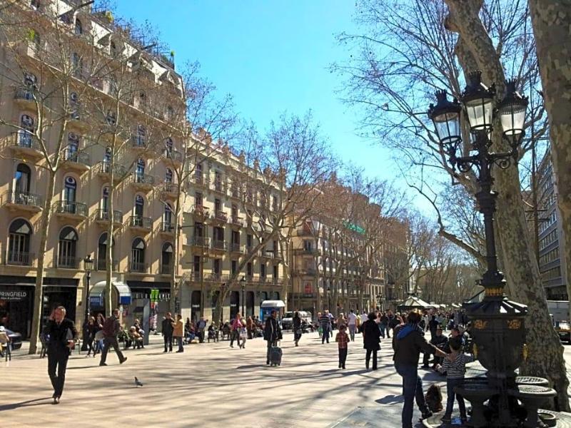 Toledano image