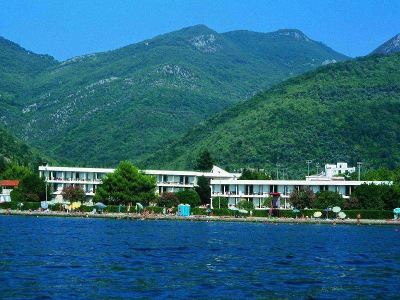 Kamelija image