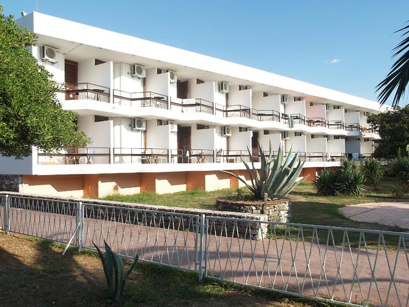 Kamelija image