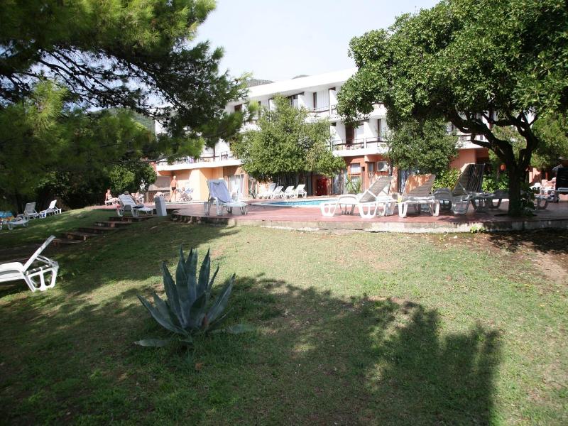 Kamelija image
