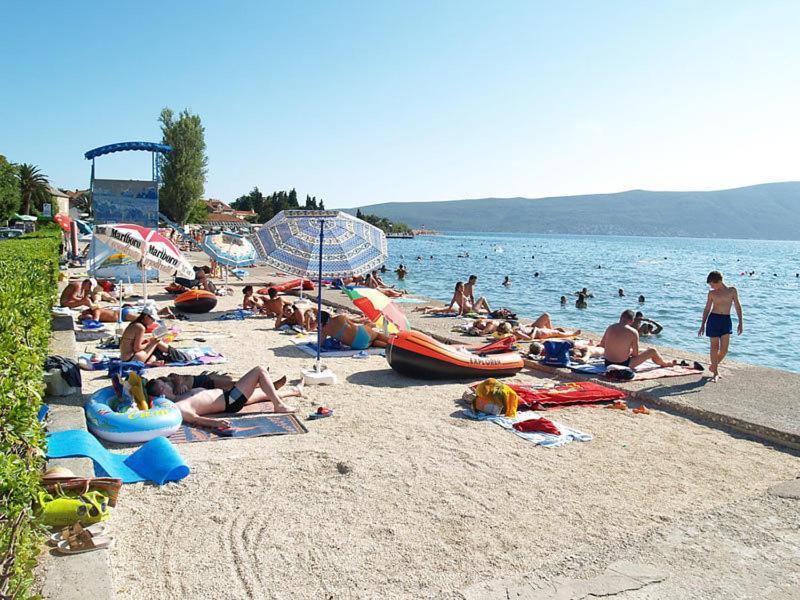 Kamelija image