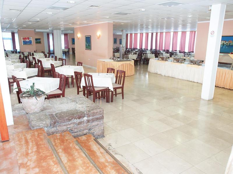 Kamelija image