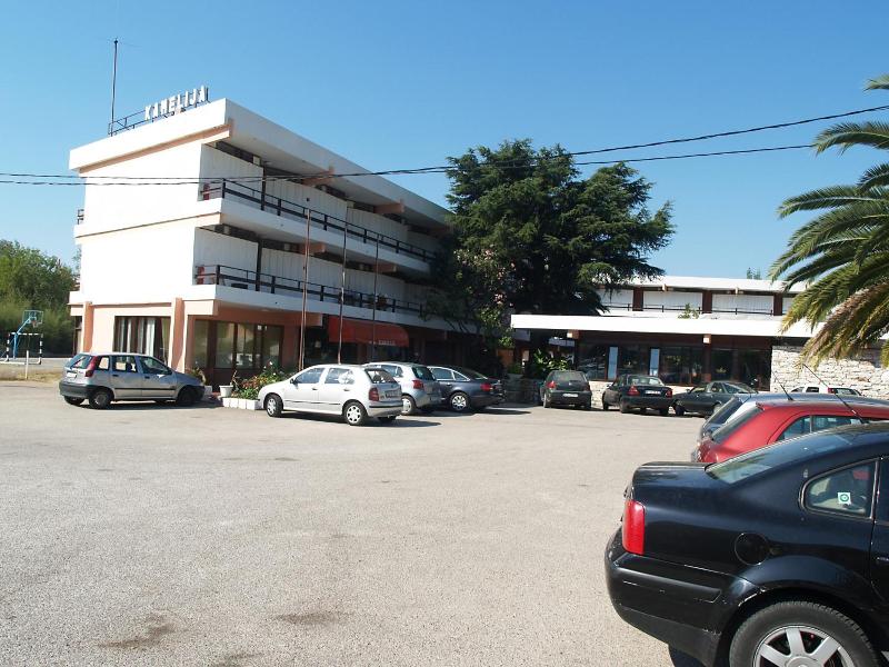 Kamelija image