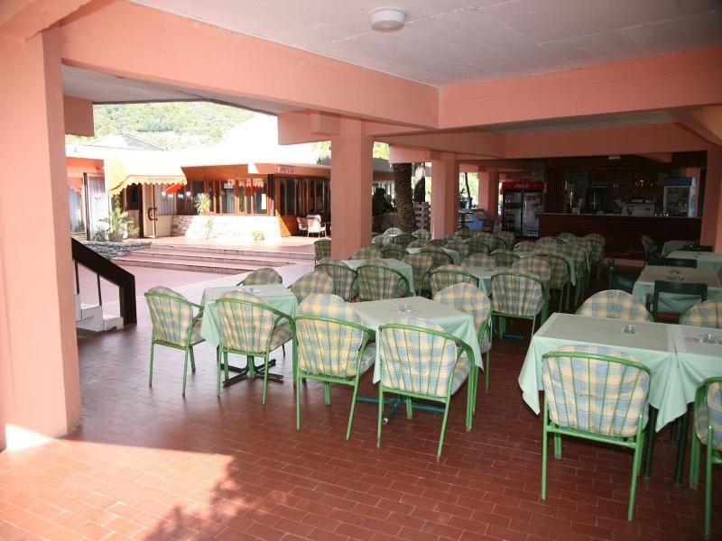 Kamelija image