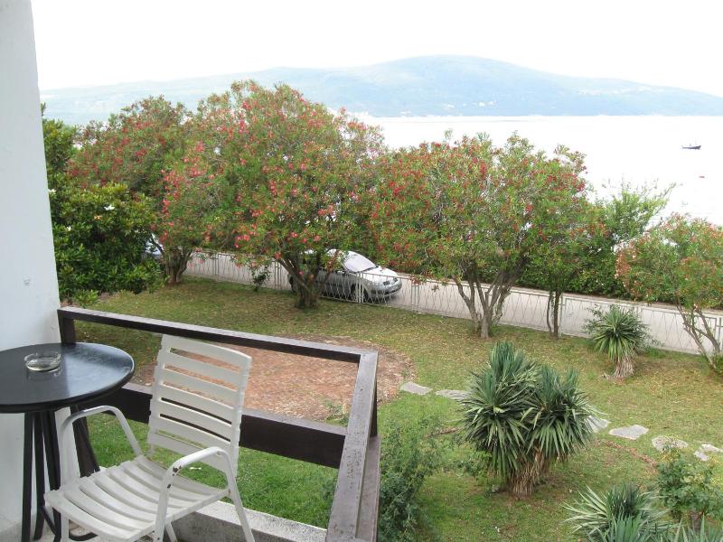Kamelija image