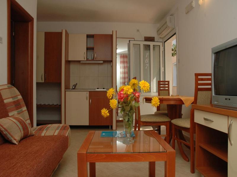 Kamelija image