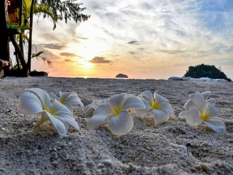 Anda Resort Koh Lipe image