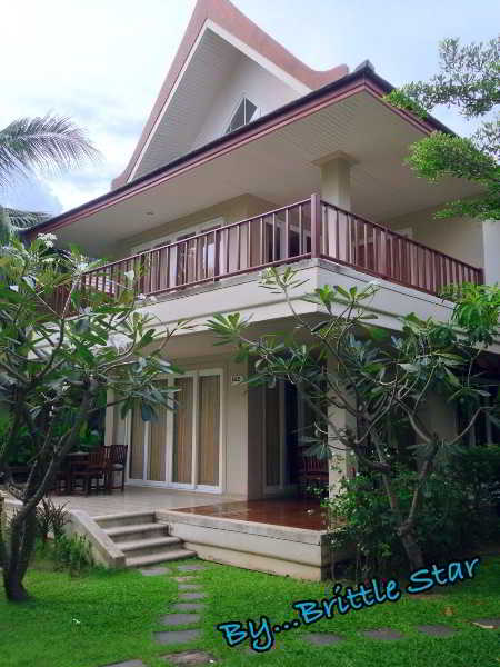 General view
