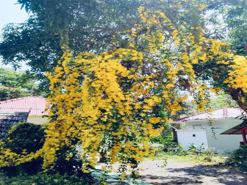 Saiyok River House image