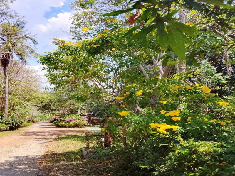 Saiyok River House image