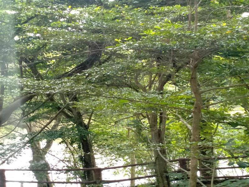 Saiyok River House image