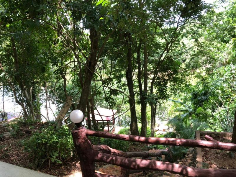 Saiyok River House image