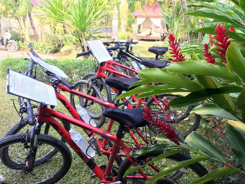 Homestay Chiang Rai