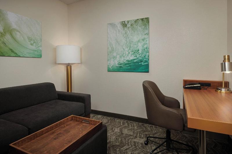 Fotos Hotel Springhill Suites Baton Rouge North/airport