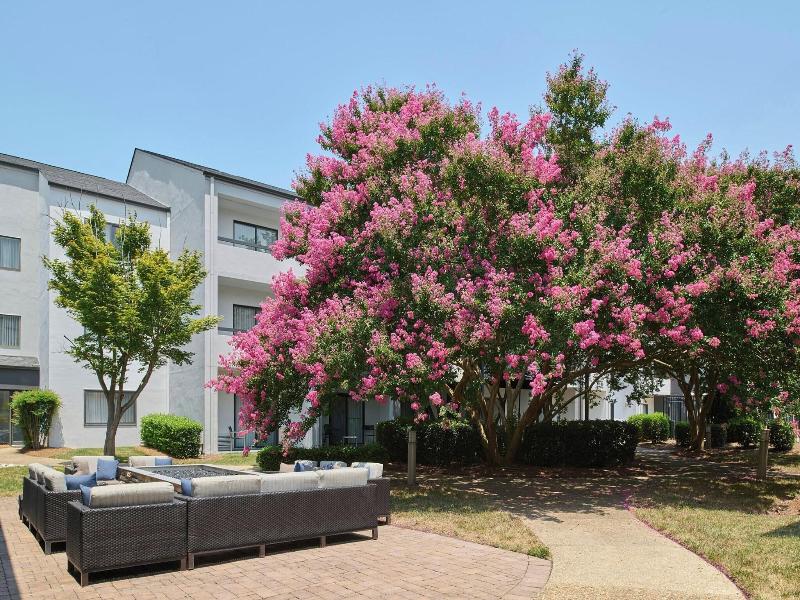 Courtyard Charlotte Arrowood image