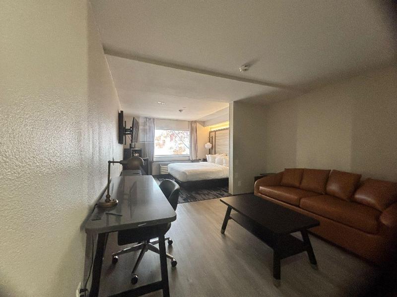 SUITE EXECUTIVE KING BED — photo 14