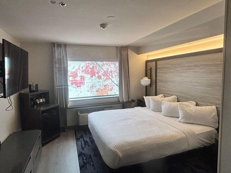 SUITE EXECUTIVE KING BED