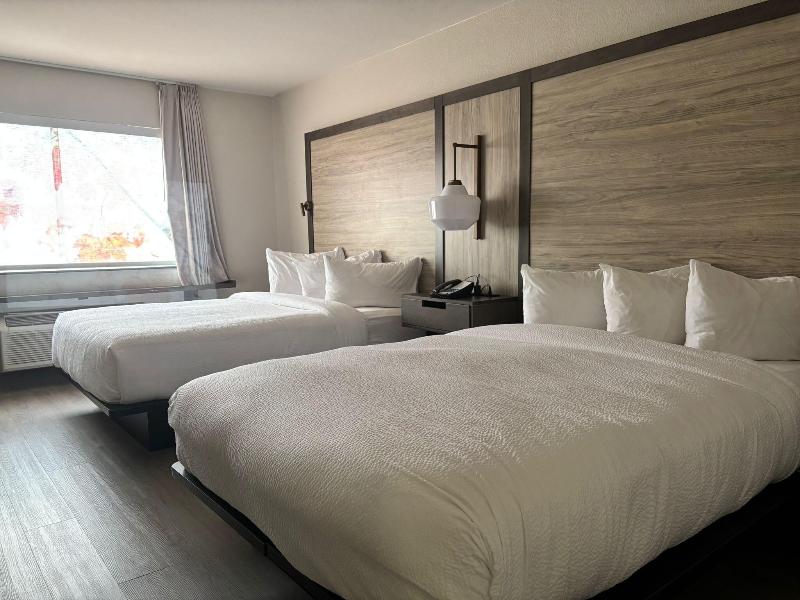 DOUBLE TWO QUEEN BEDS — photo 14