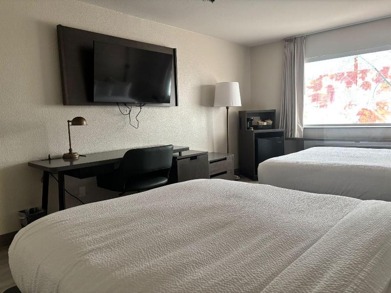 DOUBLE TWO QUEEN BEDS — photo 7