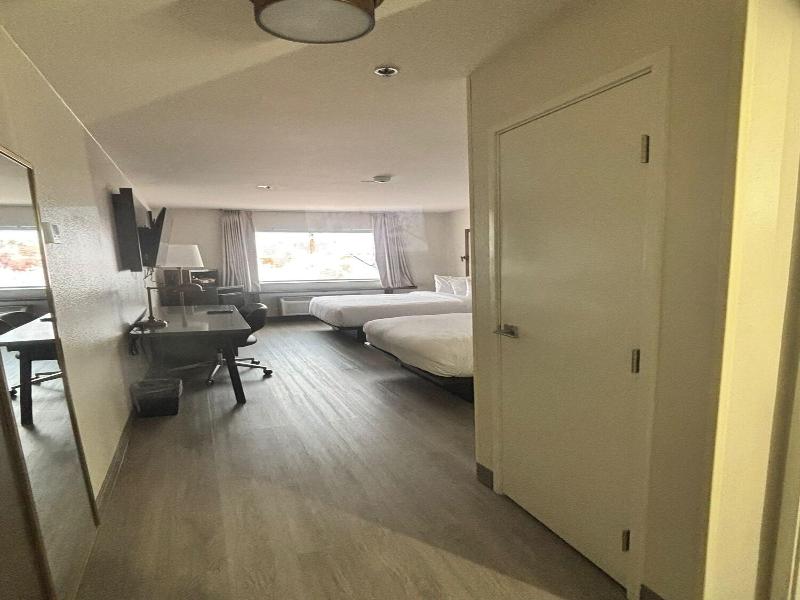 DOUBLE TWO QUEEN BEDS — photo 4