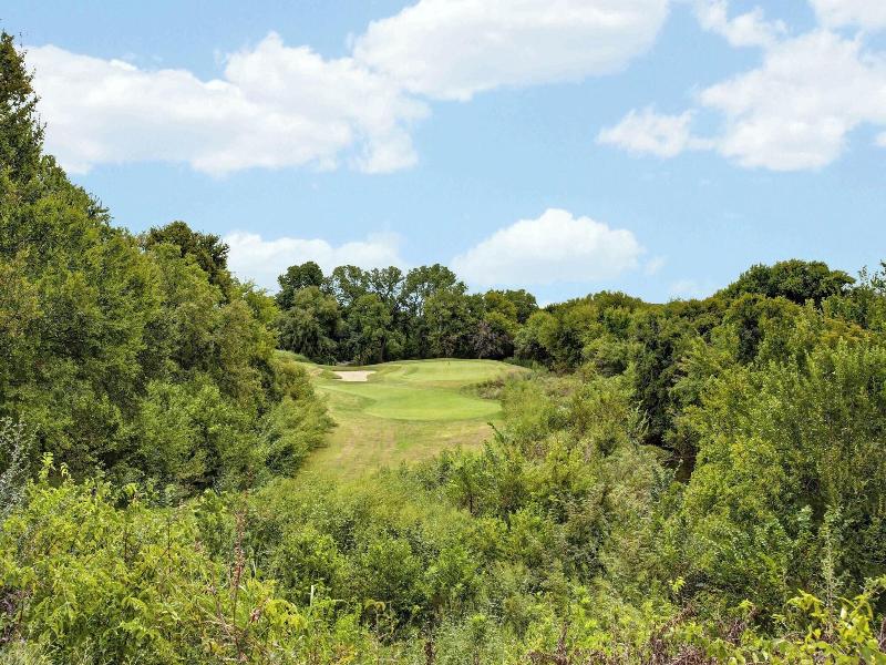 Dallas/Fort Worth Marriott Hotel & Golf Club image