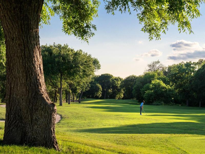 Dallas/Fort Worth Marriott Hotel & Golf Club image