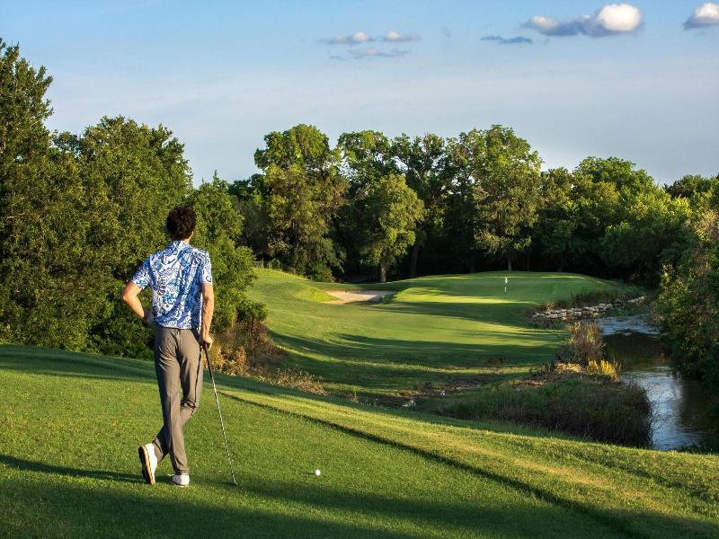 Dallas/Fort Worth Marriott Hotel & Golf Club image