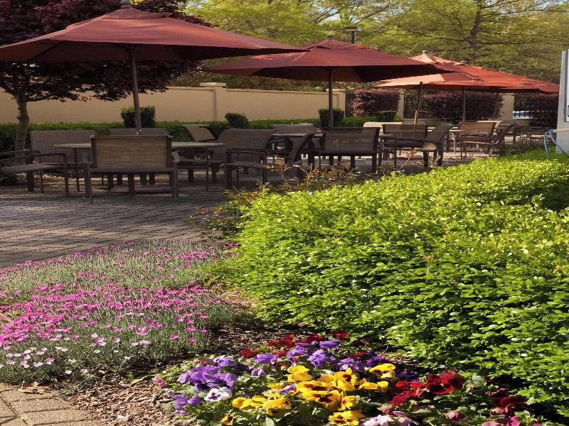 Greenville Marriott image