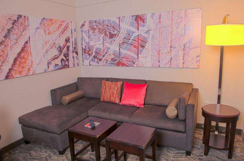 SpringHill Suites Houston Pearland image
