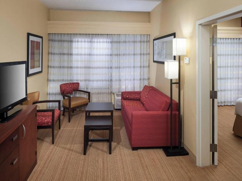 Suite, 1 King Bed with Sofa bed (1 King Bed and 1 Double Sofa Bed)