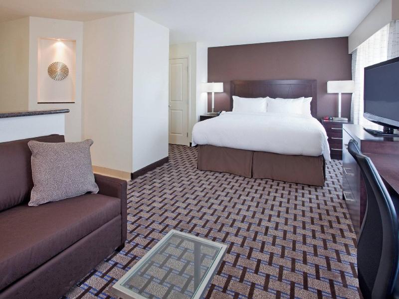 Studio Suite, 1 King Bed with Sofa bed (Hearing Accessible) (1 King Bed and 1 Double Sofa Bed)