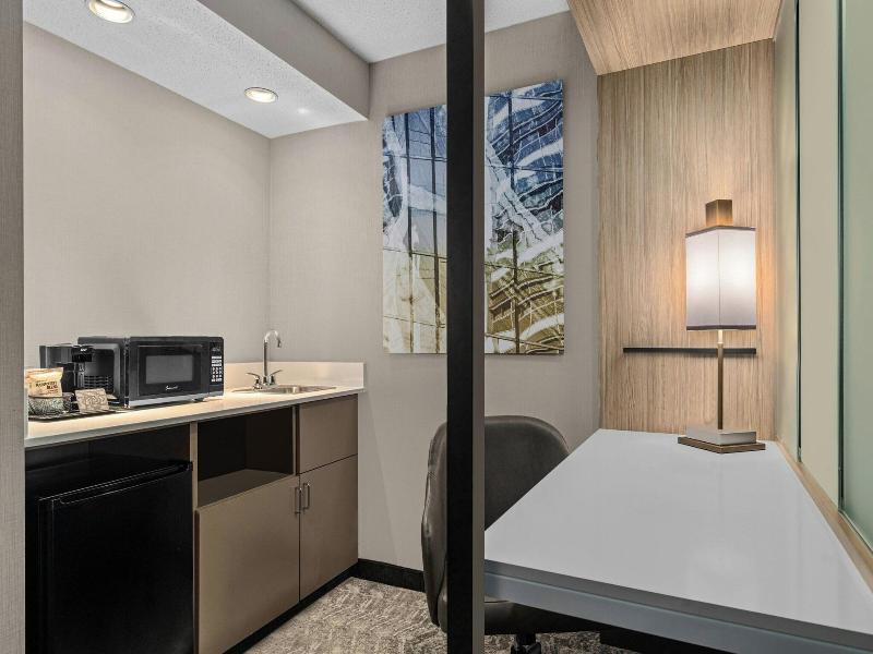 SpringHill Suites Minneapolis West/St. Louis Park — photo 92