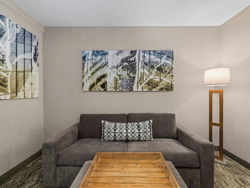 SpringHill Suites Minneapolis West/St. Louis Park — photo 93