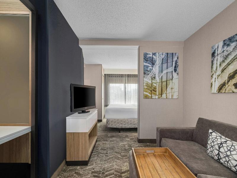 SUITE Accessible KING SIZE BED