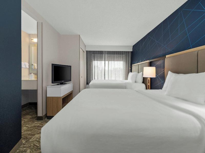 SUITE TWO QUEEN BEDS — photo 10